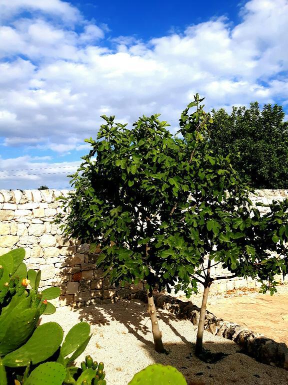 Masseria Ciancio Casa Serrafiori Экстерьер фото